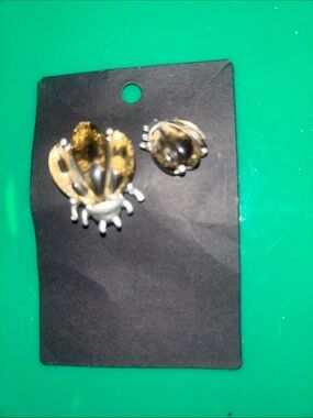Silver Bug Brooch and Pin Set